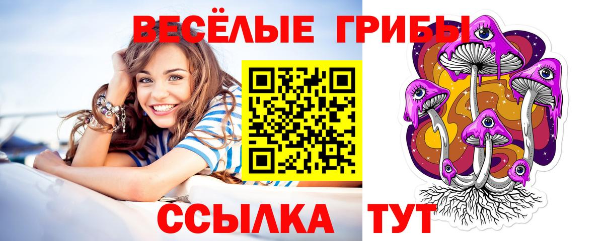 Галлюциногенные грибы GOLDEN TEACHER Сергиев Посад