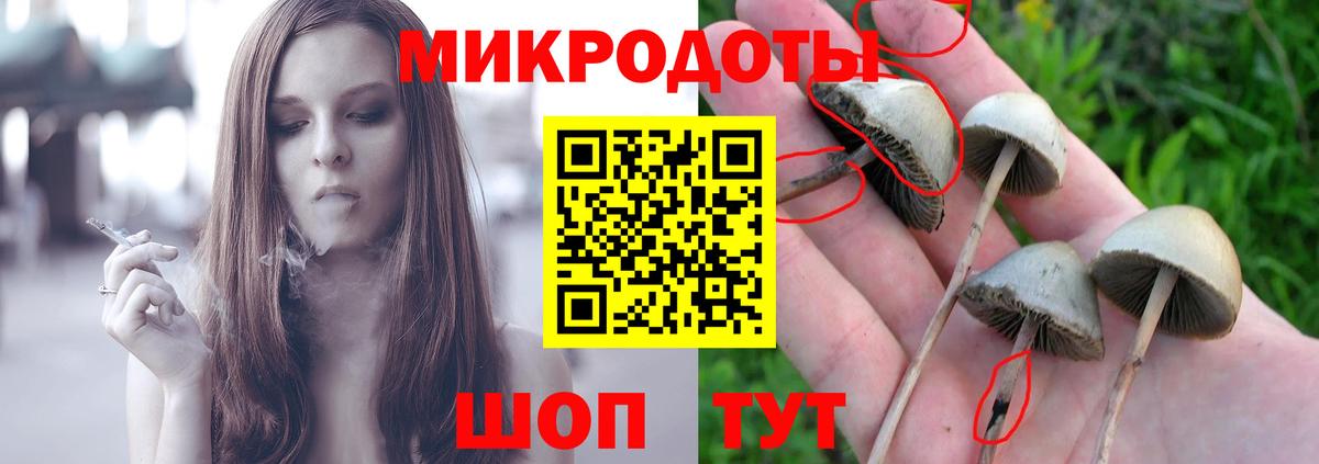 Галлюциногенные грибы Magic Shrooms  Псилоцибиновые грибы Magic Shrooms  Вход с VPN  Сергиев Посад 